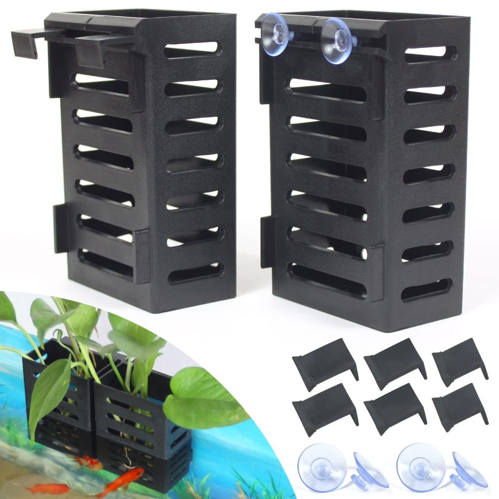 Emersed Plants Aquarium - Su tesisi peyzaj akvaryum bitki tutucu