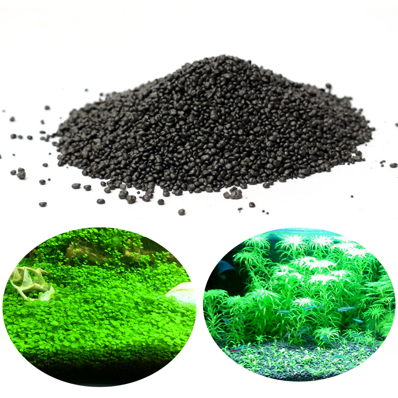 Aquarium Plant Seeds - Akvaryum Su Çim Çamur Bitki Tohumu
