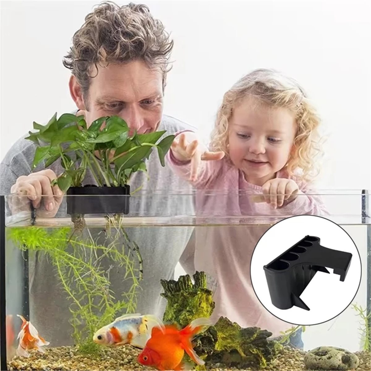 Emersed Plants Aquarium - (ABAB) Akvaryum Bitki Tutucu Akvaryum Asılı