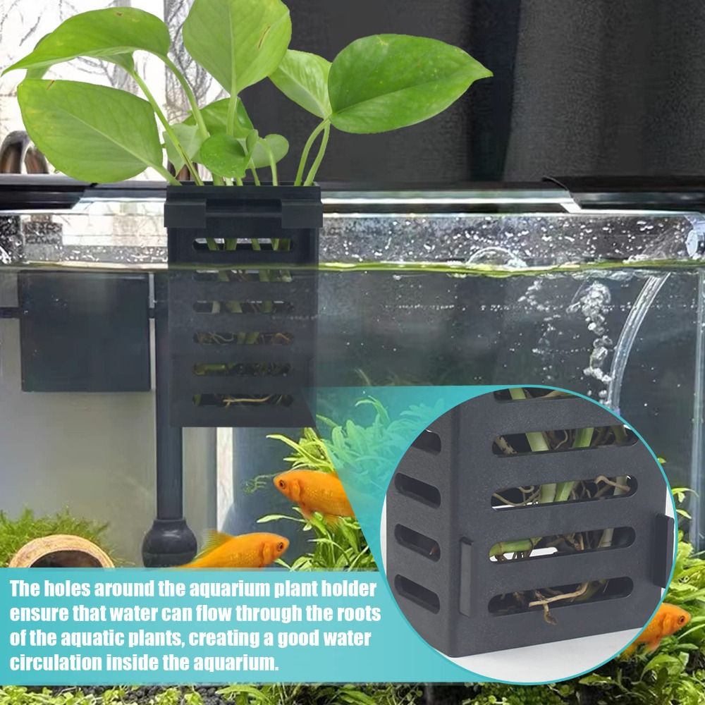 Emersed Plants Aquarium - Su Bitkisi Peyzaj Akvaryum Bitki Tutucu