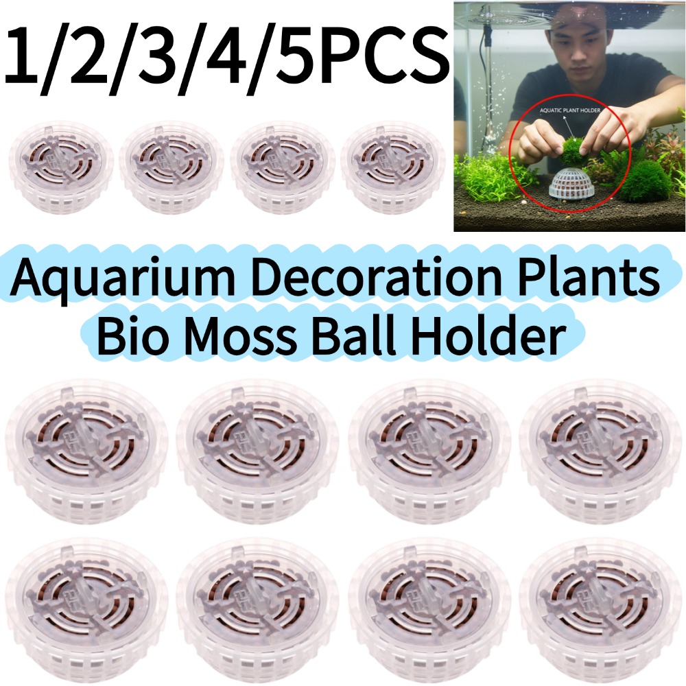 Aquarium Planted Background - 1-5 adet akvaryum dekorasyon bitkileri biyo