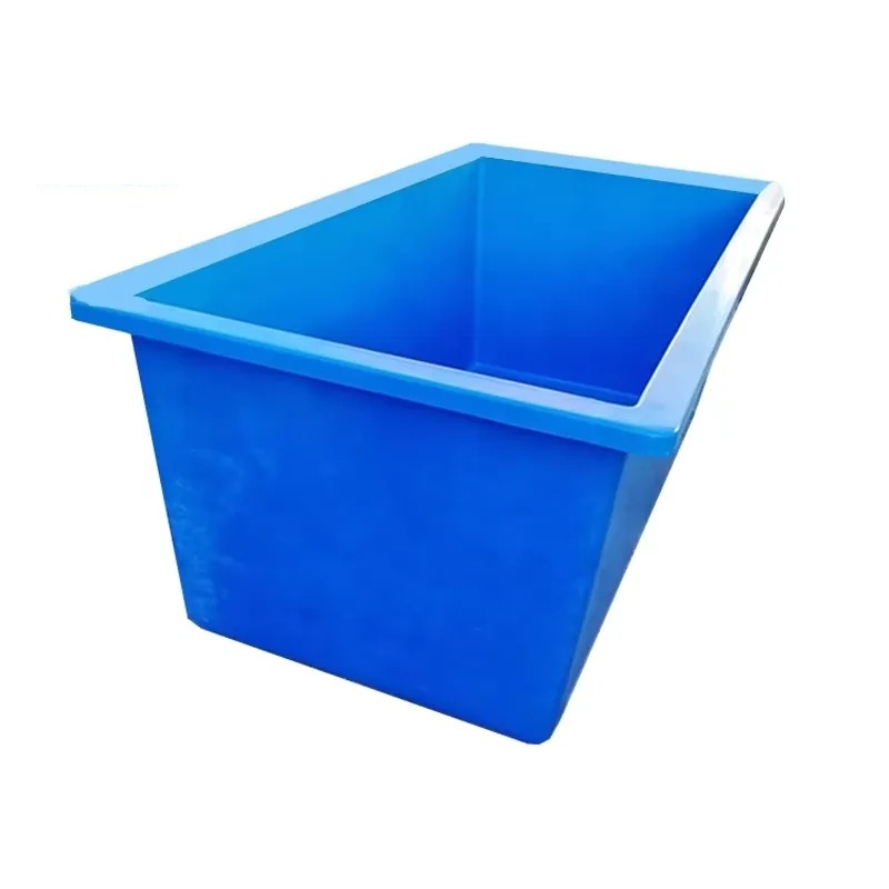 Aquarium Plant Seeds - Akvaryum için Yaşayan Bitkiler Yuvarlak ve