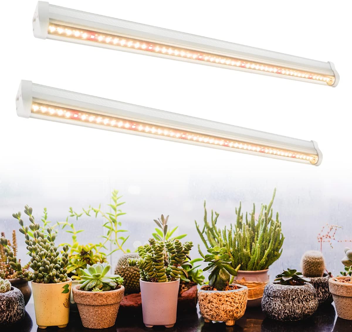 Aquarium Plant Seeds - LED Büyüme Lambası Bitki Tam Spektrumlu