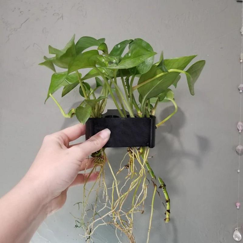 Emersed Plants Aquarium - Asılı akvaryum bitki tutucu ile sucul