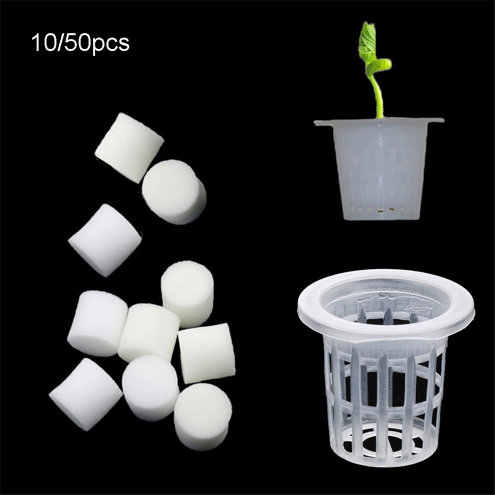 Aquarium Plant Seeds - 10/50 adet Dayanıklı Dikim Akvaryumu Topraksız