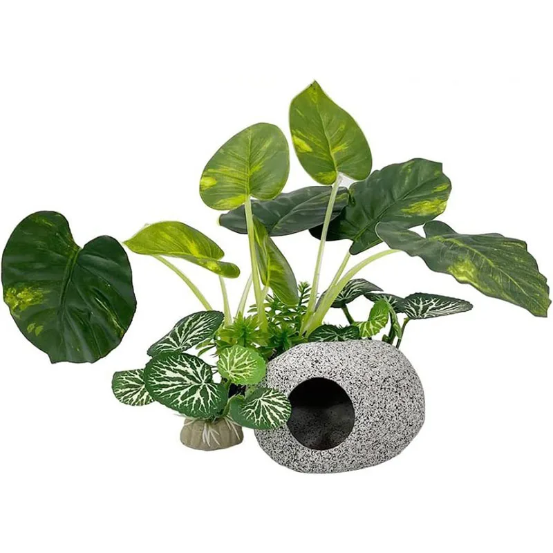 Aquarium Planted Background - Küçük Sualtı Çim Akvaryum Balık Tankı