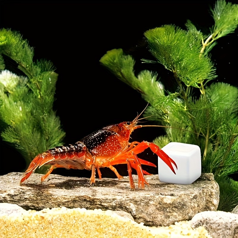 Aquarium Plant Liquid Fertilizer - 6 Adet Balık Tankı Kalsiyum Bloğu