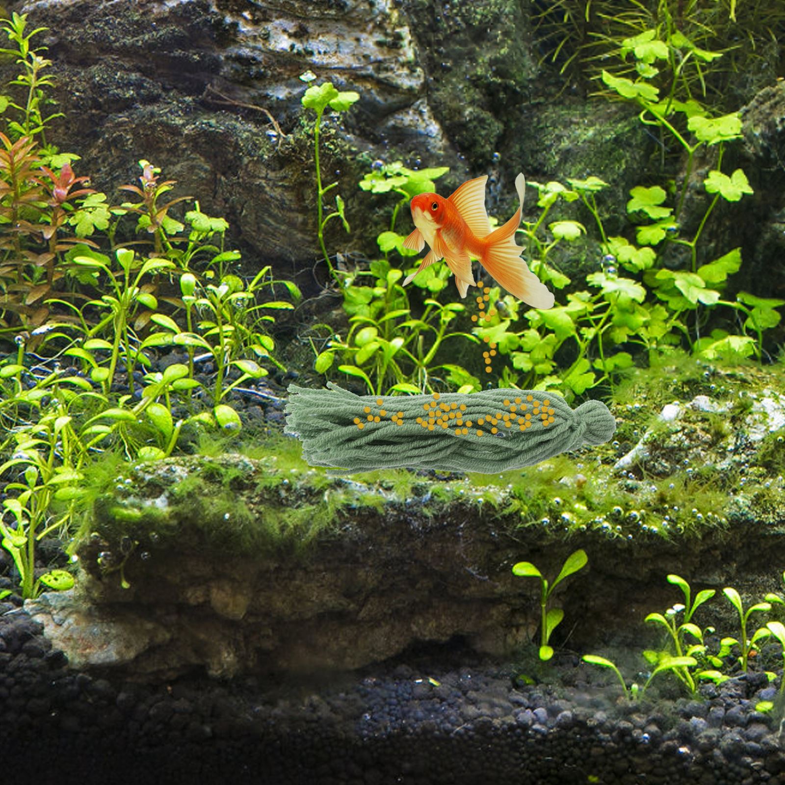 5 adet Balık Tankı Yumurtlama  - Aquarium Plant Liquid Fertilizer incelemesi ve fiyatı