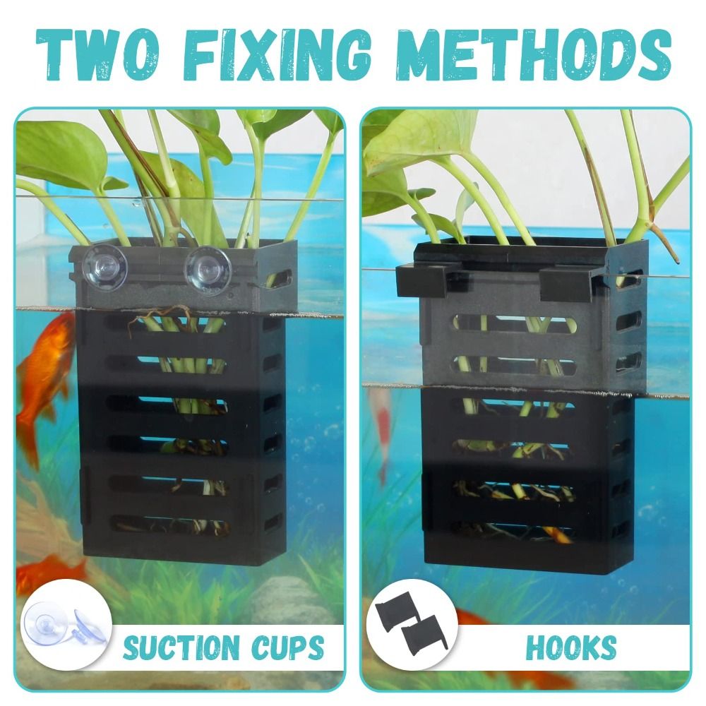 Sucul bitki yetiştirme için or - Emersed Plants Aquarium incelemesi ve fiyatı
