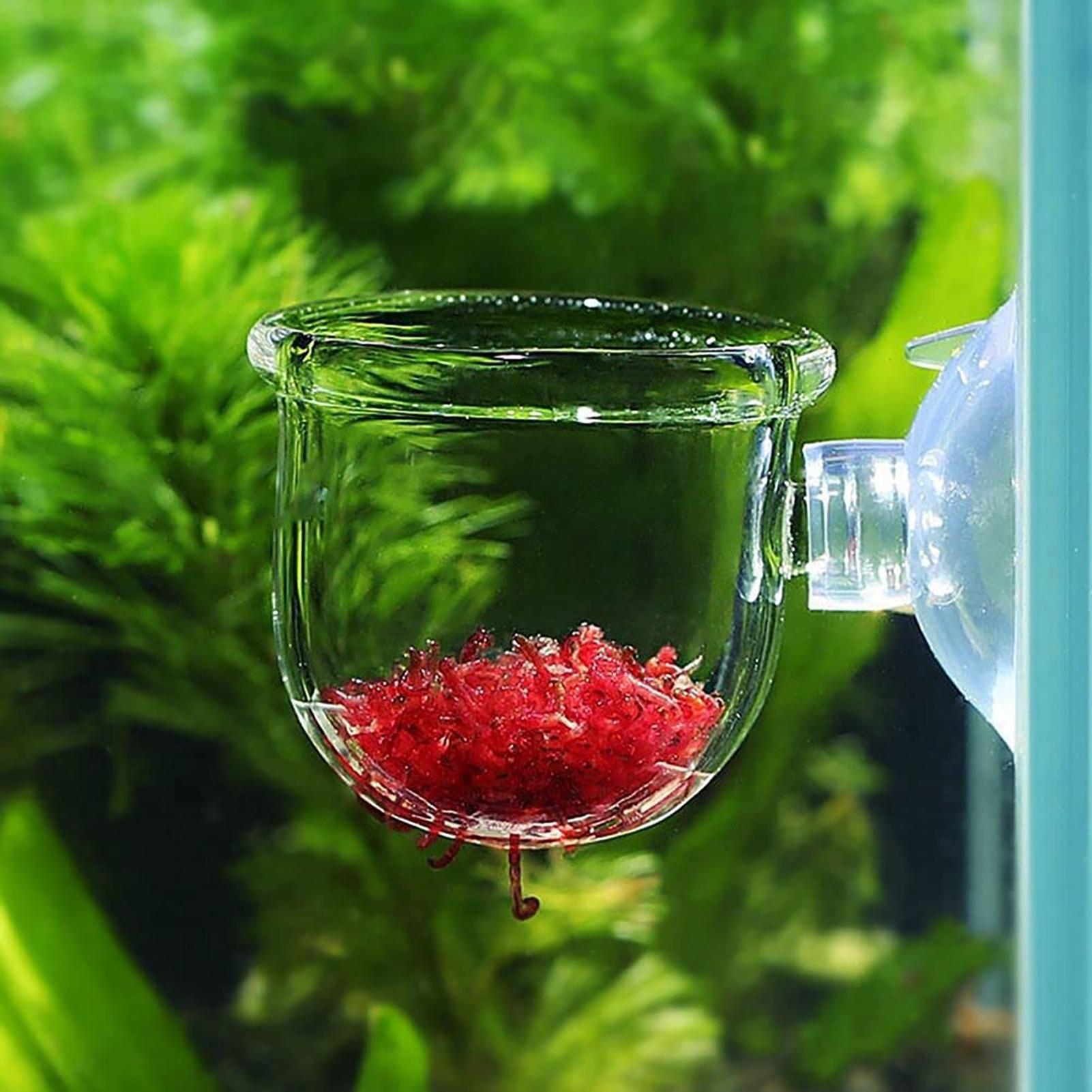 Akvaryum saksı cam silindir ba - Aquarium Plant Seeds incelemesi ve fiyatı
