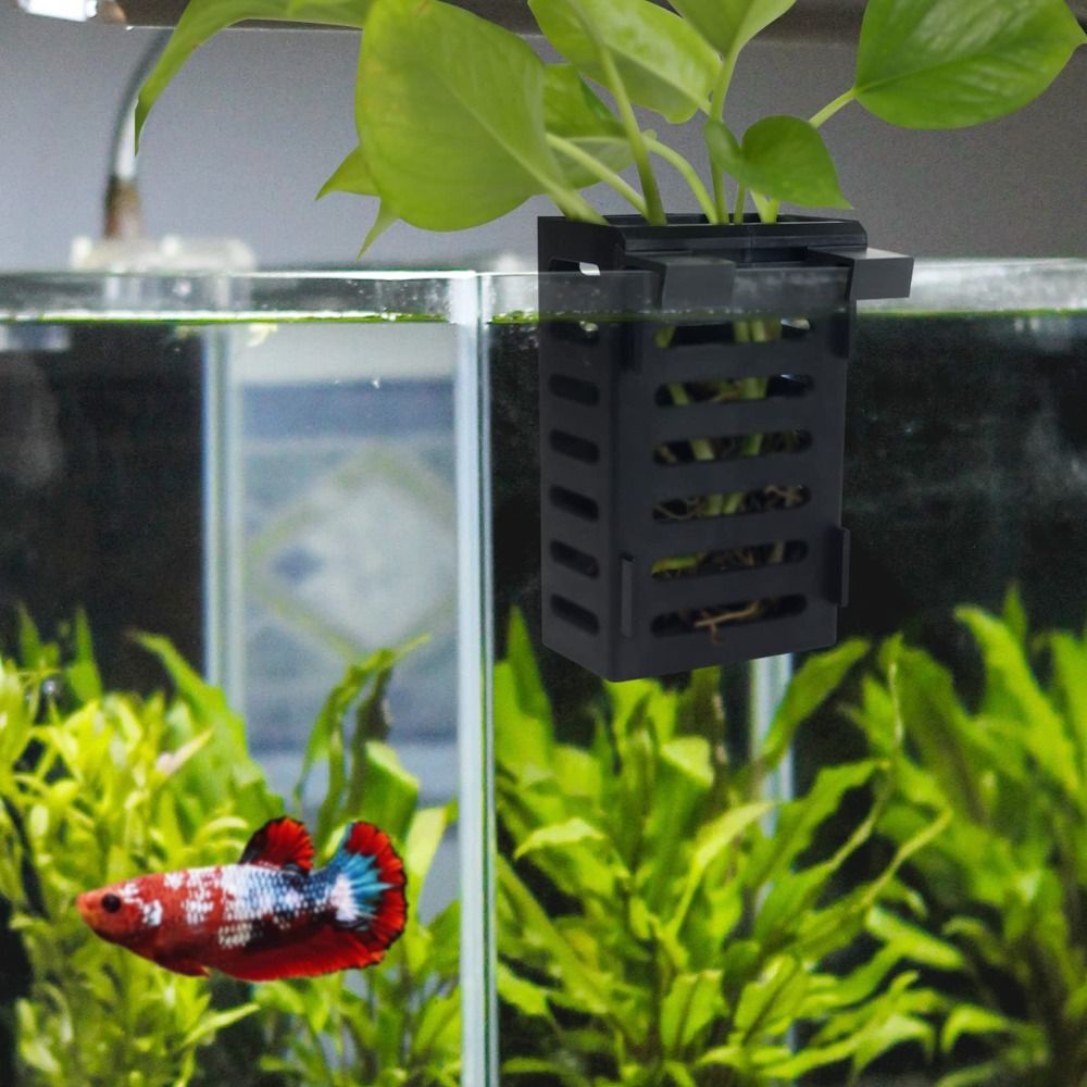 Su Bitkileri Peyzaj Akvaryum B - Emersed Plants Aquarium incelemesi ve fiyatı