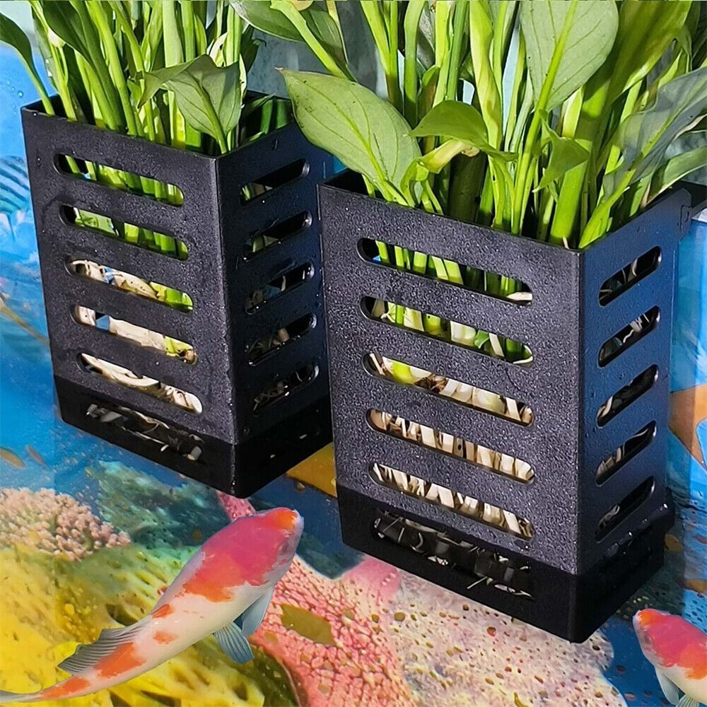 Su Bitkileri Peyzaj Akvaryum B - Emersed Plants Aquarium incelemesi ve fiyatı