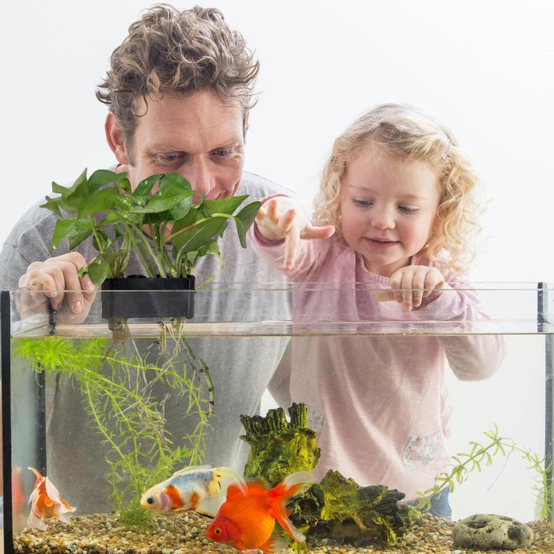 Asılı akvaryum bitki tutucu il - Emersed Plants Aquarium incelemesi ve fiyatı