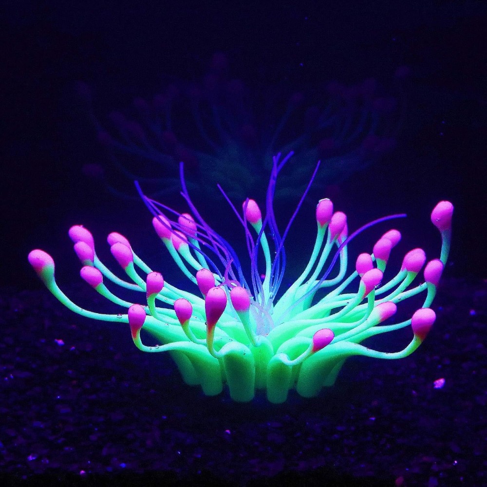 Yumuşak Silika Jel Doğal Su Ak - Aquarium Plant Liquid Fertilizer incelemesi ve fiyatı