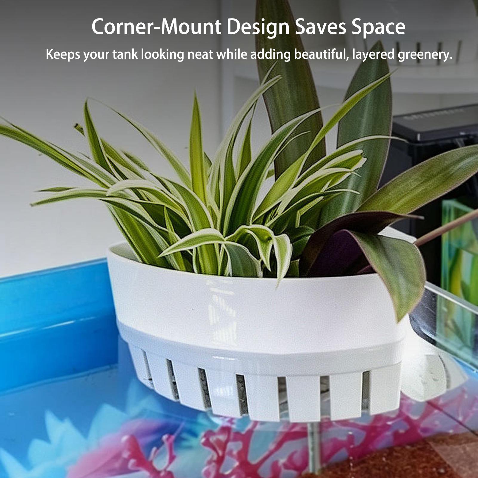 Akvaryum Bitki Sepeti Hidropon - Aquarium Planted Background incelemesi ve fiyatı
