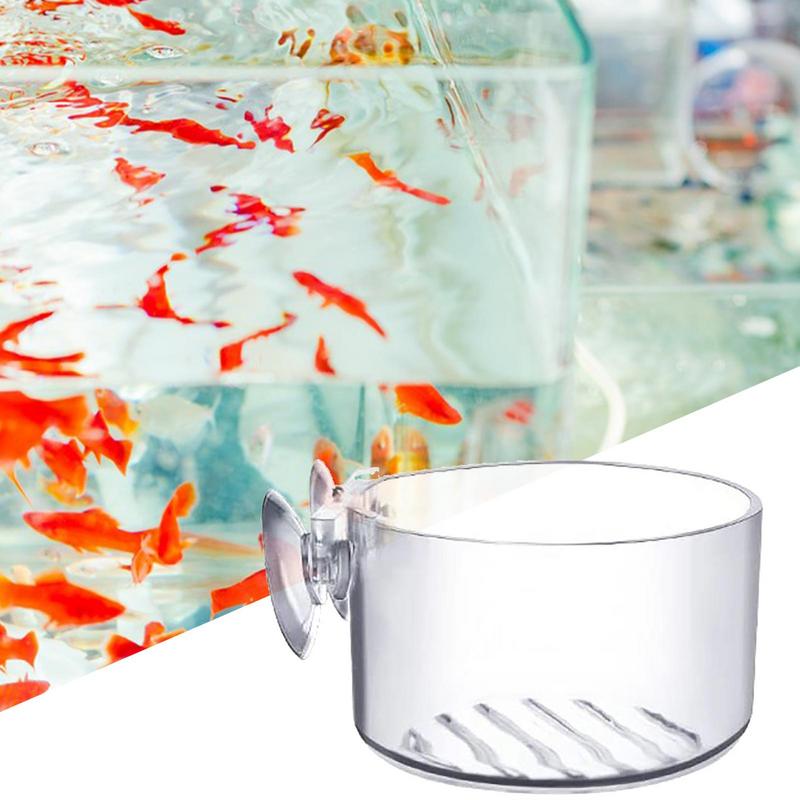 Akvaryum saksı cam silindir fi - Aquarium Plant Seeds incelemesi ve fiyatı