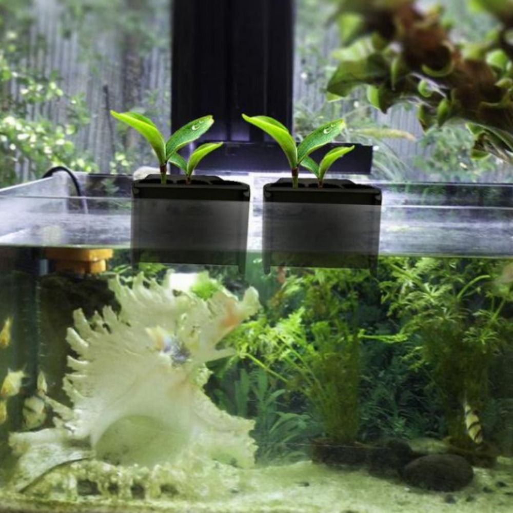 Entegre Kancalı Akvaryum Ekici - Emersed Plants Aquarium incelemesi ve fiyatı