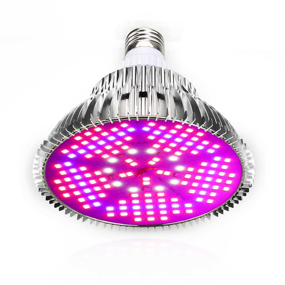 100W tam spektrumlu LED büyüme - Aquarium Plant Seeds incelemesi ve fiyatı