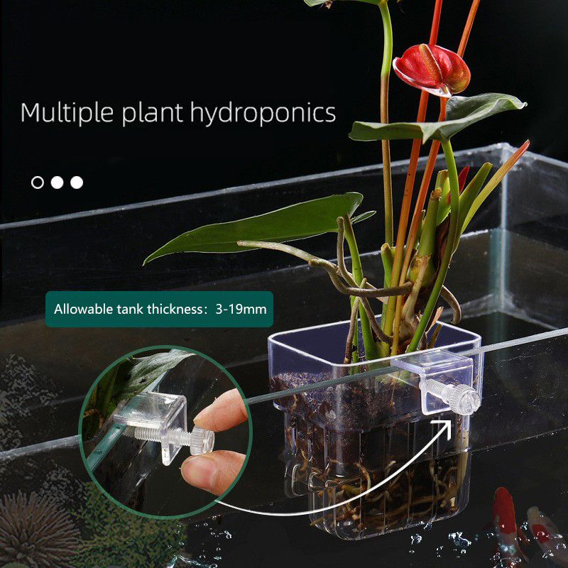 1 Adet Akvaryum Topraksız Bitk - Aquarium Plant Seeds incelemesi ve fiyatı