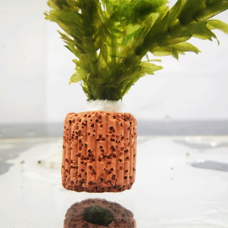QX2E Akvaryumlar Bitki Aquapon - Emersed Plants Aquarium incelemesi ve fiyatı
