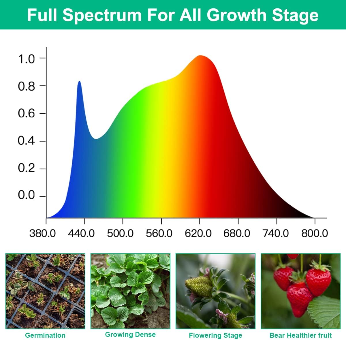 LED Büyümek Lambalar Bitki Tam - Aquarium Plant Seeds incelemesi ve fiyatı