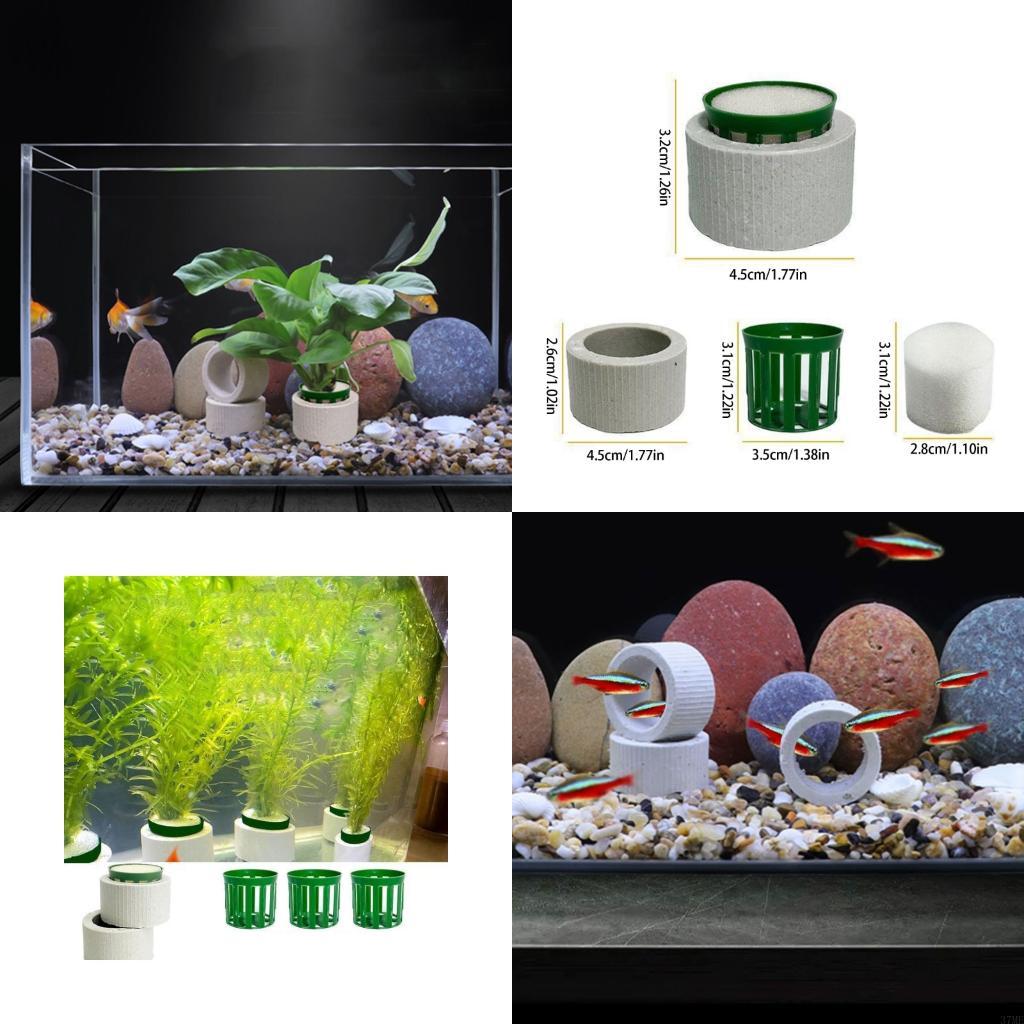 37ME 10 Adet Akvaryum Bitki Sa - Aquarium Planted Background incelemesi ve fiyatı