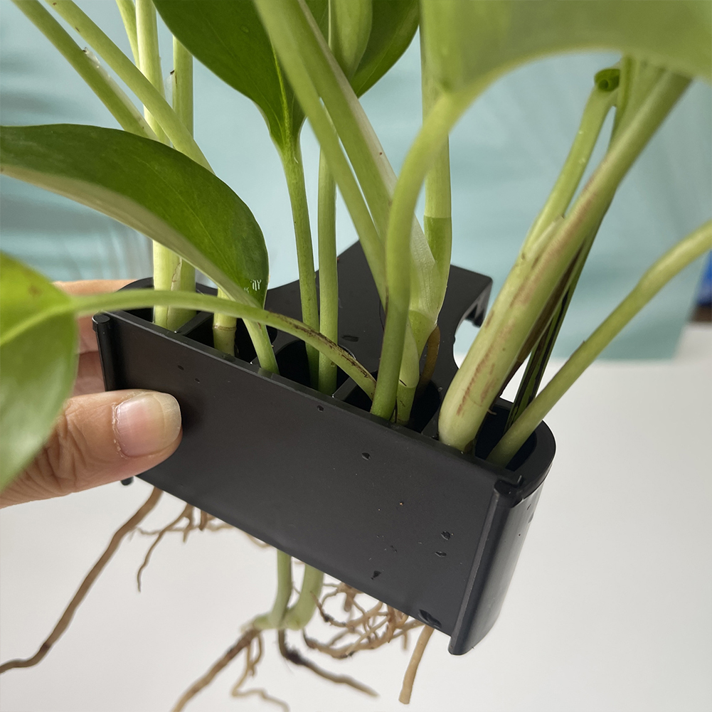 Asılı akvaryum bitki tutucu il - Emersed Plants Aquarium incelemesi ve fiyatı