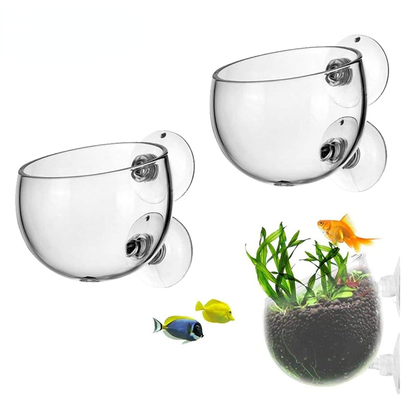 Yeni Akvaryum Bitki Saksısı Ca - Aquarium Plant Seeds incelemesi ve fiyatı
