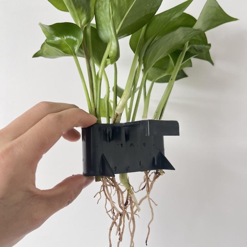 Tesisi Peyzaj Hidroponik Pot T - Emersed Plants Aquarium incelemesi ve fiyatı
