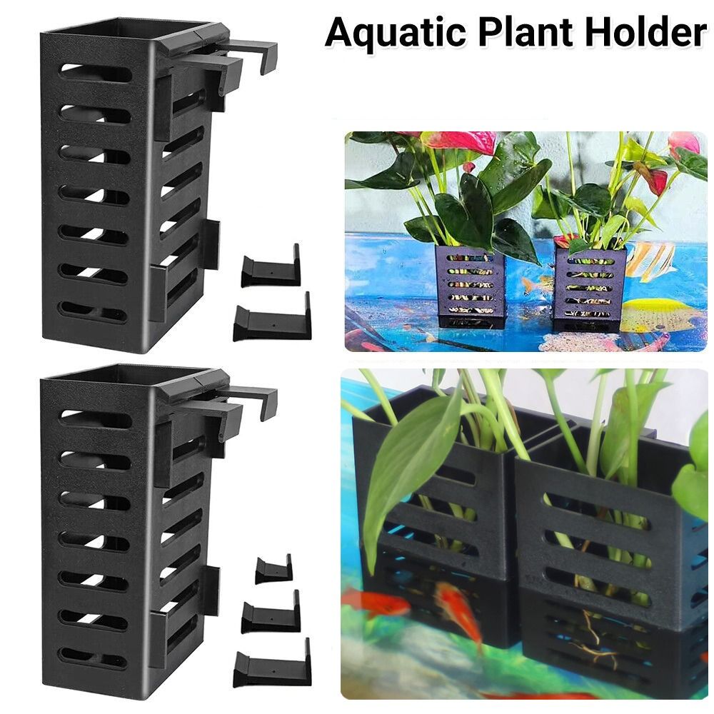 Hydroponic akvaryum camı bitki - Emersed Plants Aquarium incelemesi ve fiyatı