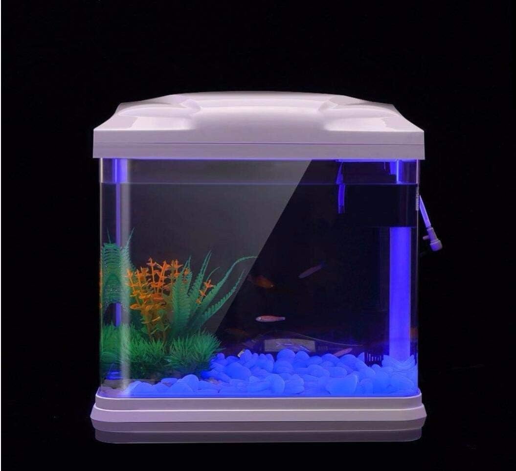 Balık Tankı Kayalar Bahçe için - Aquarium Plant Nursery incelemesi ve fiyatı