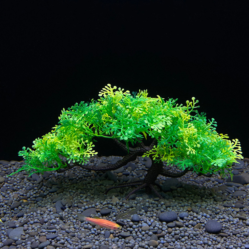 Akvaryum Bonsai Ağacı, Bitki,  - Aquarium Plant Seeds incelemesi ve fiyatı