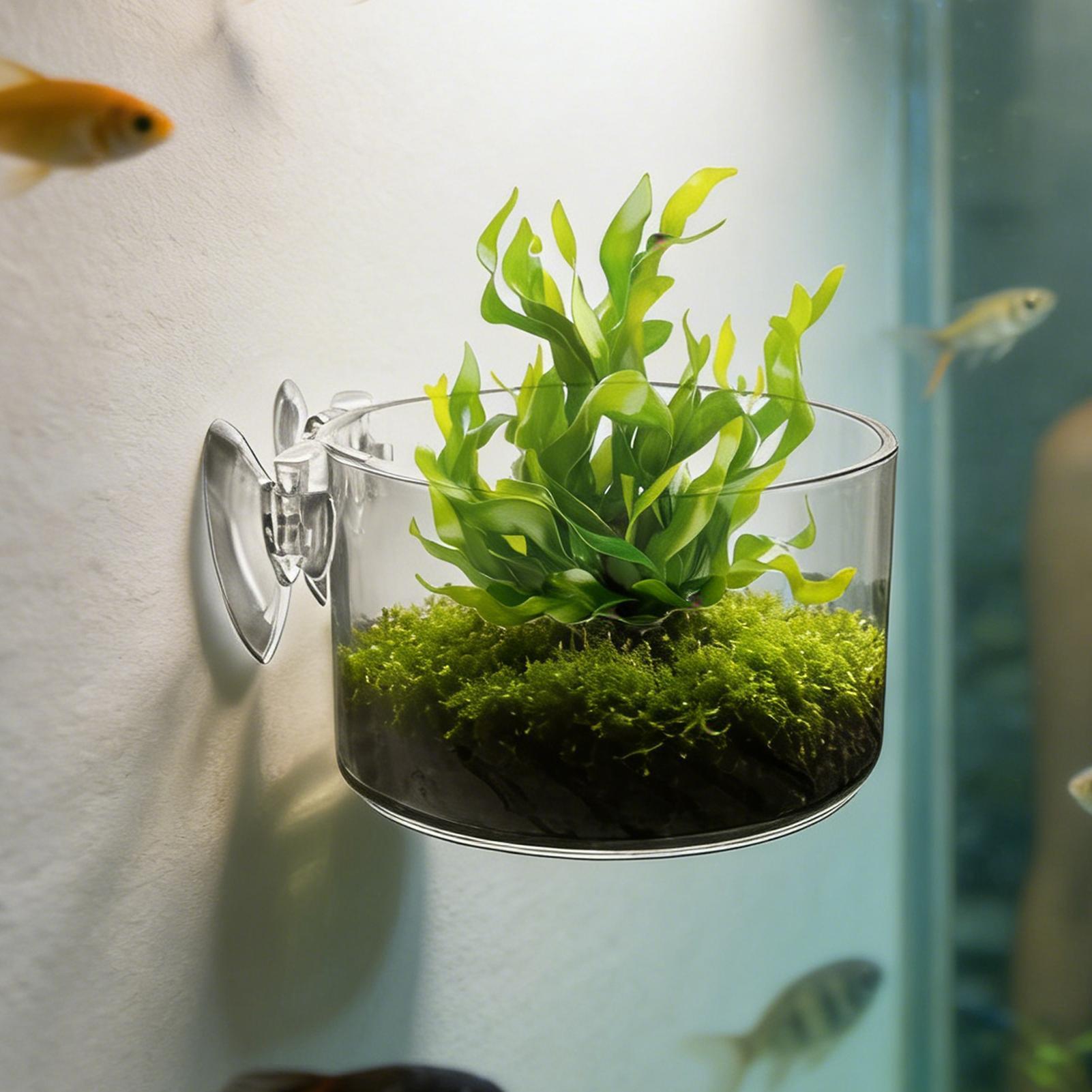 Akrilik Akvaryum Bitki Tutucu  - Aquarium Planted Background incelemesi ve fiyatı