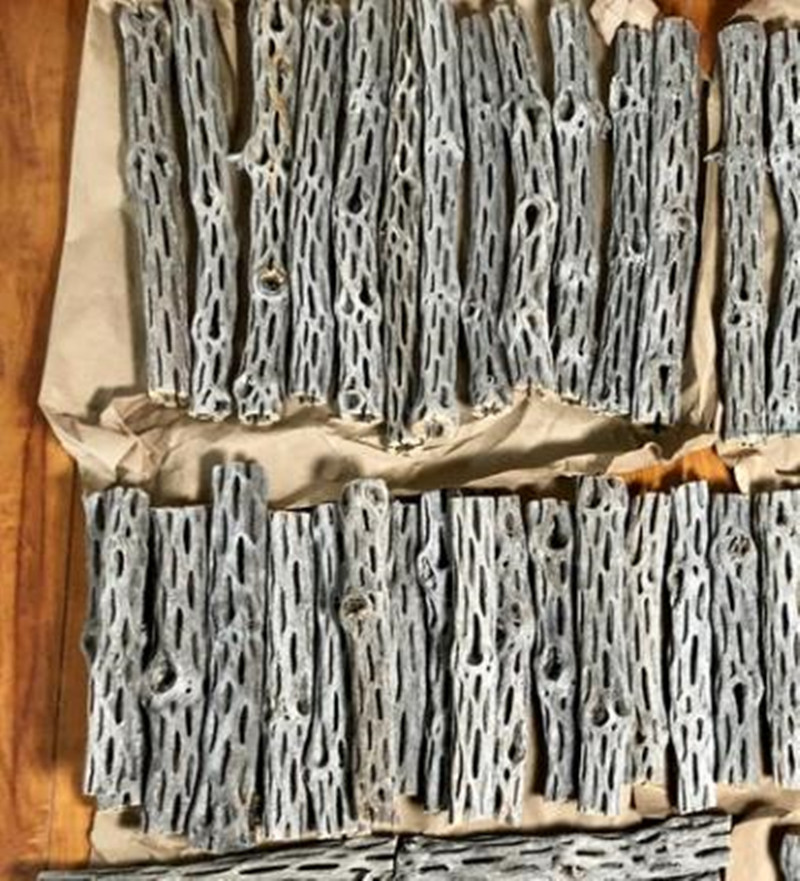 Organik/Doğal Akvaryum Cholla  - Aquarium Plant Seeds incelemesi ve fiyatı
