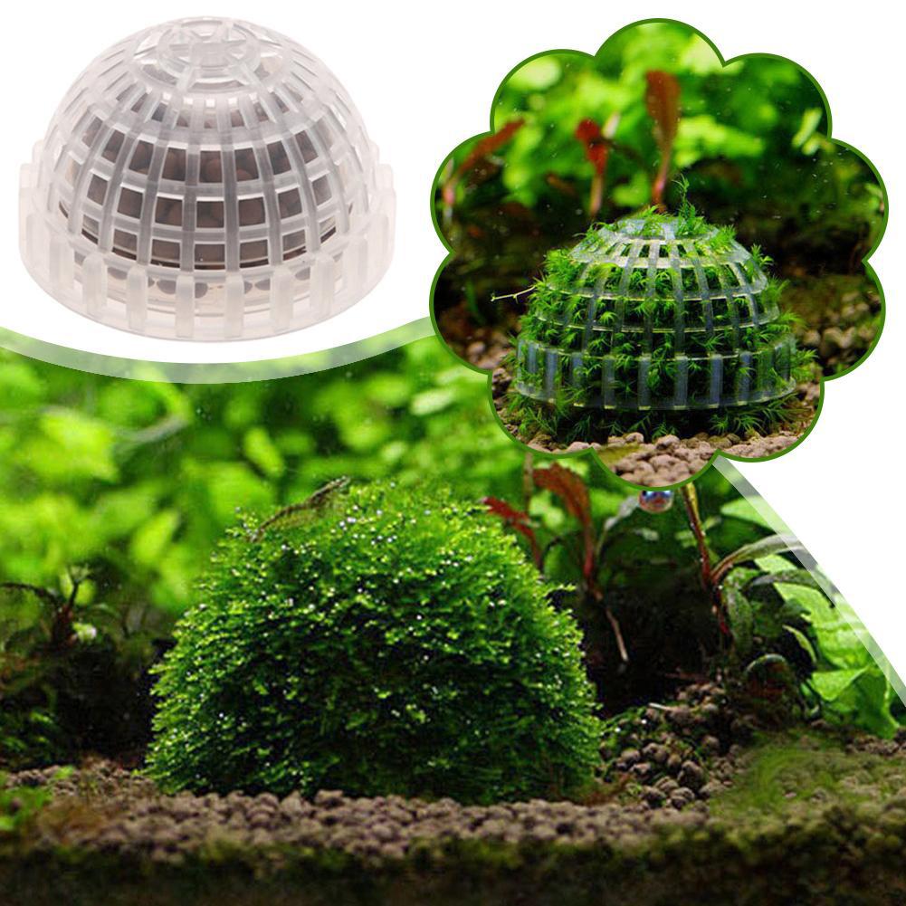 1-5 adet akvaryum dekorasyon b - Aquarium Planted Background incelemesi ve fiyatı