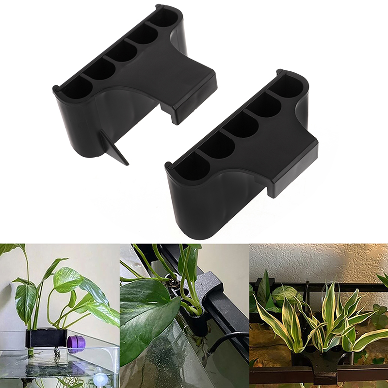Asılı akvaryum bitki tutucu il - Emersed Plants Aquarium incelemesi ve fiyatı