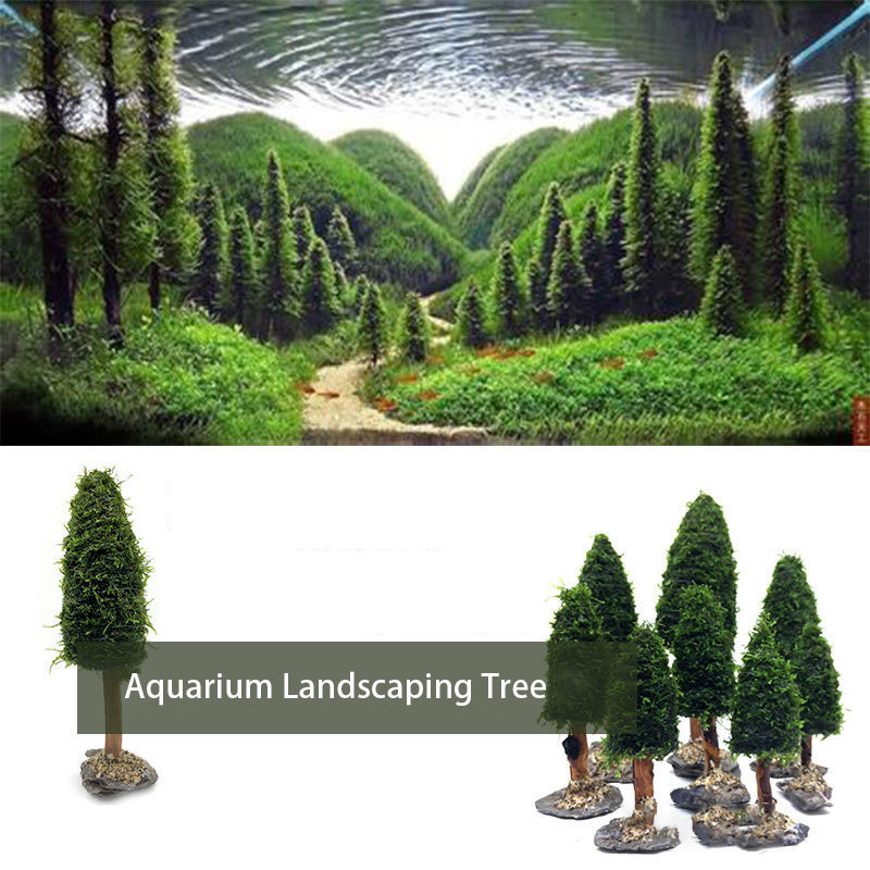 Akvaryum dekorasyon sucul bitk - Aquarium Plant Seeds incelemesi ve fiyatı