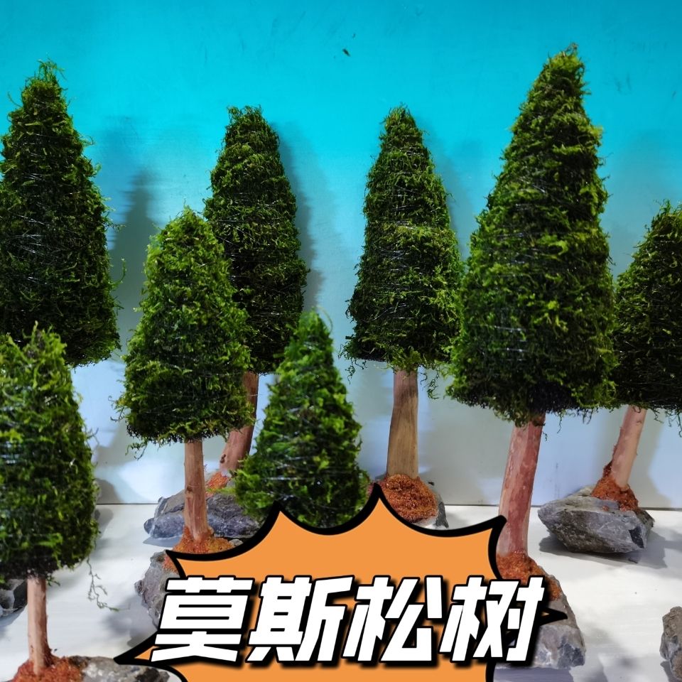 Akvaryum dekorasyon sucul bitk - Aquarium Plant Seeds incelemesi ve fiyatı