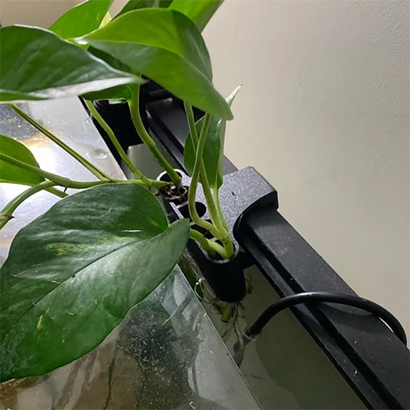 Asılı akvaryum bitki tutucu il - Emersed Plants Aquarium incelemesi ve fiyatı