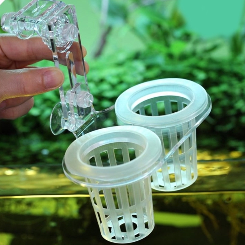 Akvaryum Bitki Standı Bitki Ye - Emersed Plants Aquarium incelemesi ve fiyatı