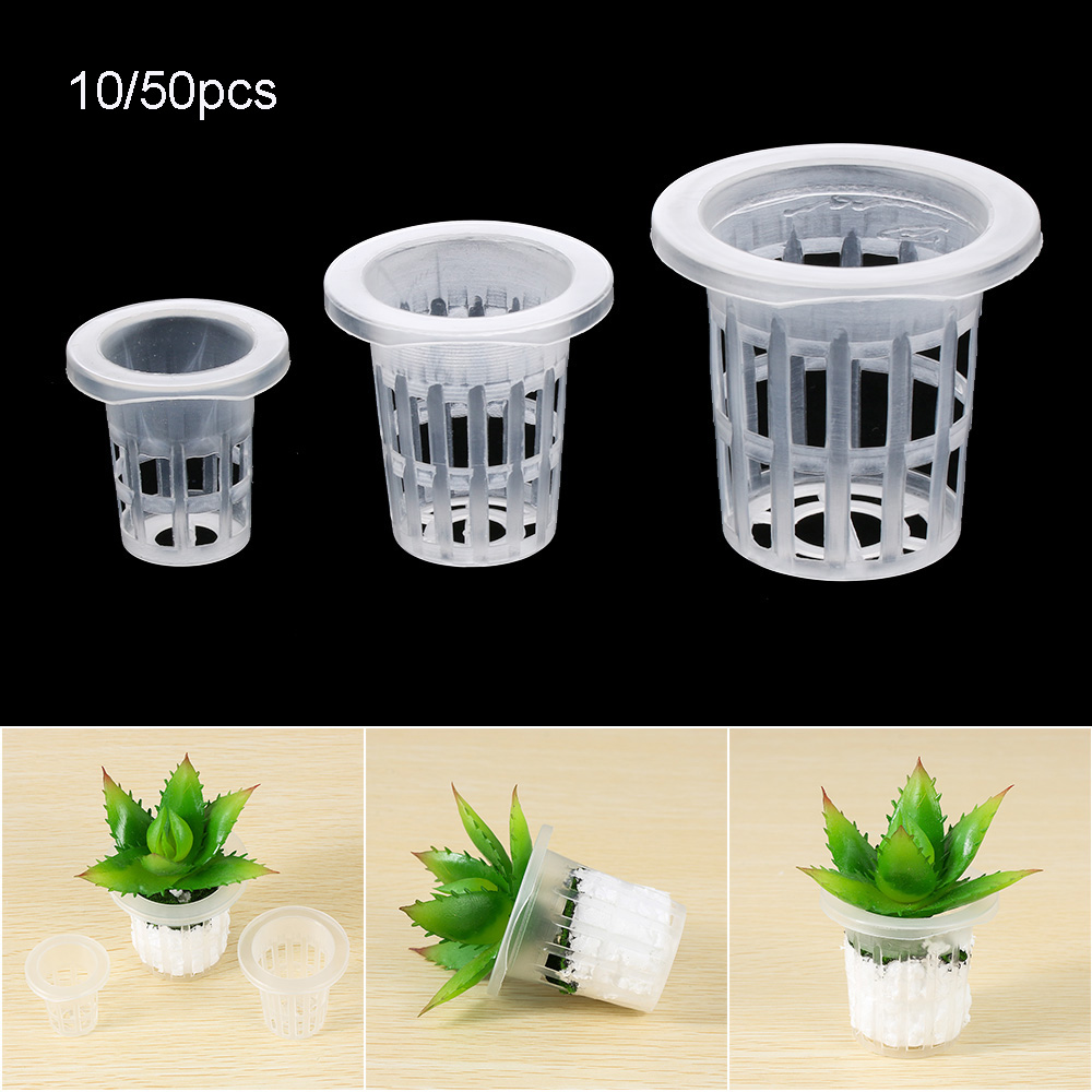 10/50 adet Dayanıklı Dikim Akv - Aquarium Plant Seeds incelemesi ve fiyatı