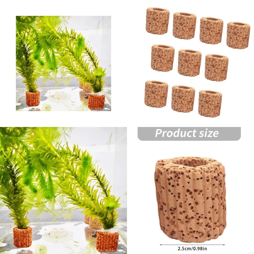 F19B Akvaryum Bitki Sahipleri  - Emersed Plants Aquarium incelemesi ve fiyatı