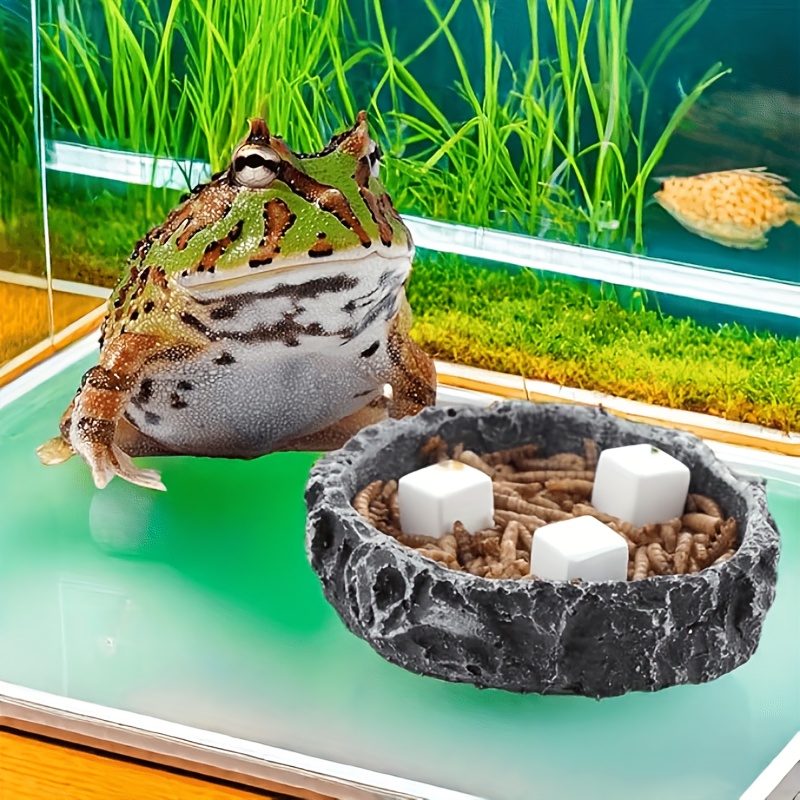 6 Adet Balık Tankı Kalsiyum Bl - Aquarium Plant Liquid Fertilizer incelemesi ve fiyatı