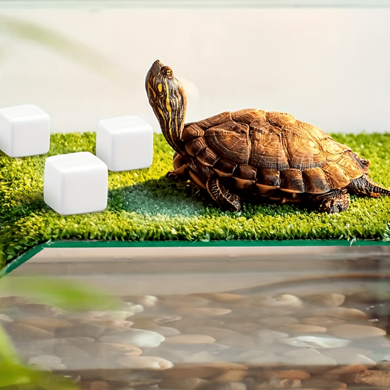 6 Adet Balık Tankı Kalsiyum Bl - Aquarium Plant Liquid Fertilizer incelemesi ve fiyatı