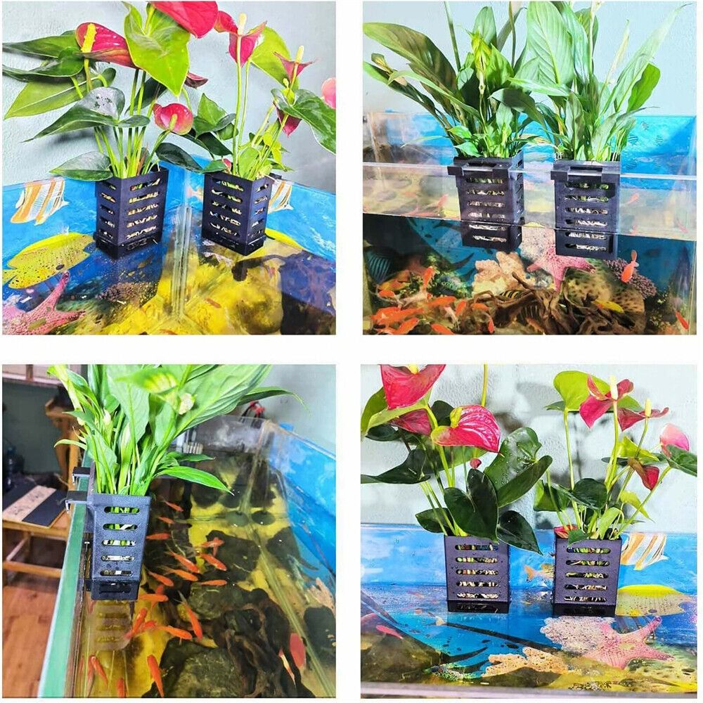 Su Bitkileri Peyzaj Akvaryum B - Emersed Plants Aquarium incelemesi ve fiyatı