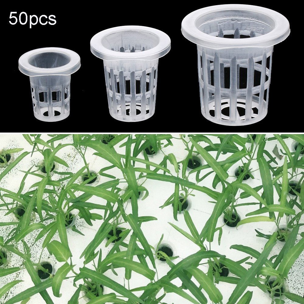 10/50 adet Bahçe Malzemeleri D - Aquarium Plant Seeds incelemesi ve fiyatı