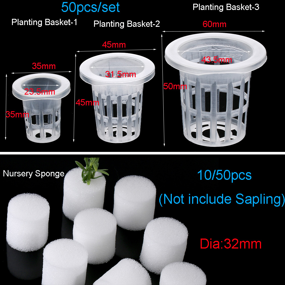 10/50 adet Bahçe Malzemeleri D - Aquarium Plant Seeds incelemesi ve fiyatı